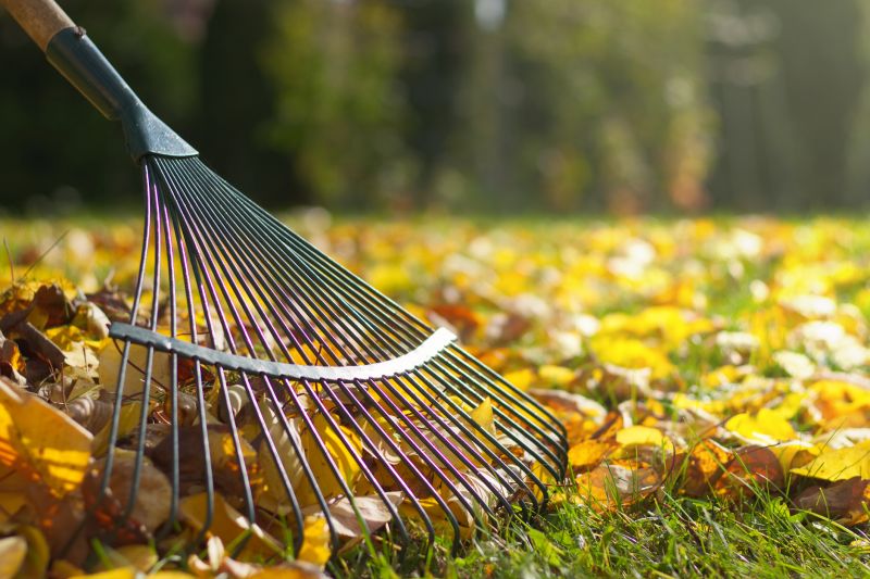 Leaf Raking for Property Maintenance