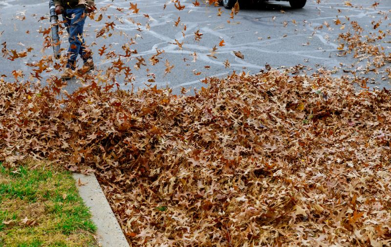 Leaf Blowing for Efficient Cleanup
