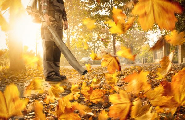 Leaf Blowing Service in Fargo