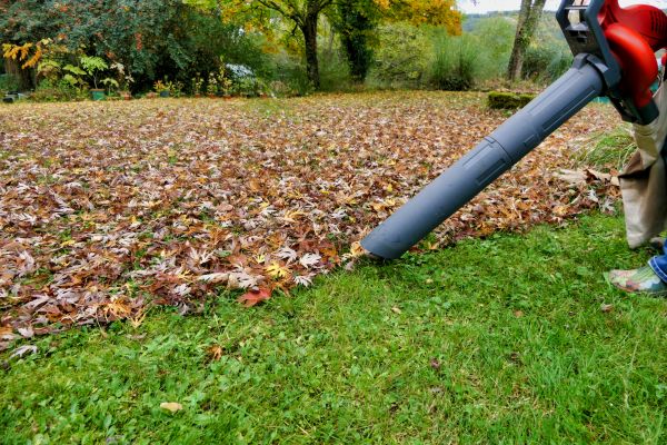 Leaf Vacuuming Service in Fargo
