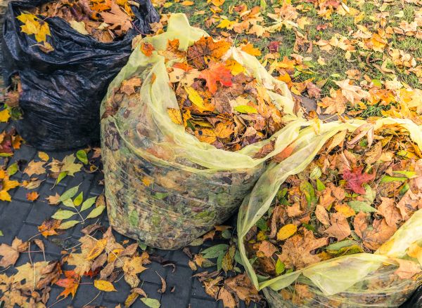 Yard Cleanup Service in Fargo