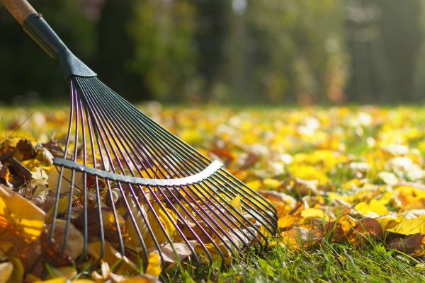 Leaf Raking Service in Fargo