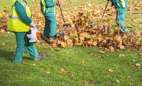 Leaf Maintenance in Fargo