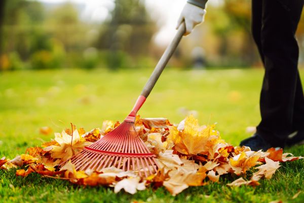 Ditch Leaf Removal in Fargo