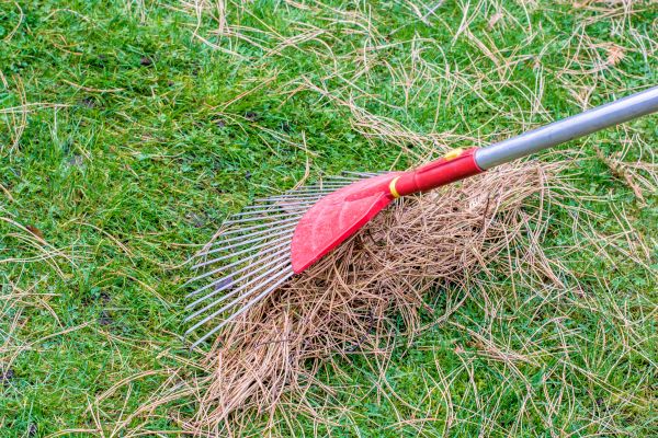 Yard Raking in Fargo