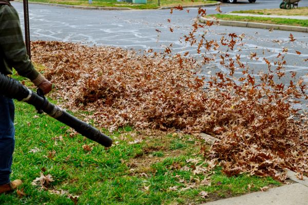 Garden Leaf Removal in Fargo