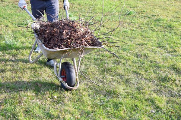 Yard Brush Removal in Fargo