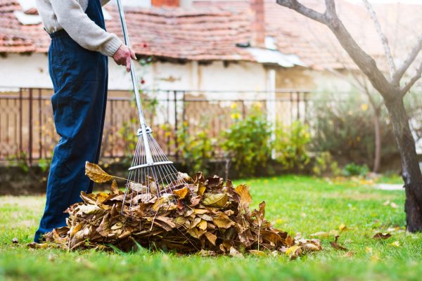 Spring Lawn Cleanup in Fargo