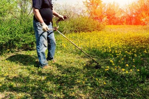 Yard Clearing Service in Fargo