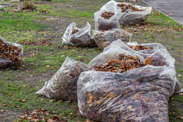 Leaf Pile Disposal in Fargo