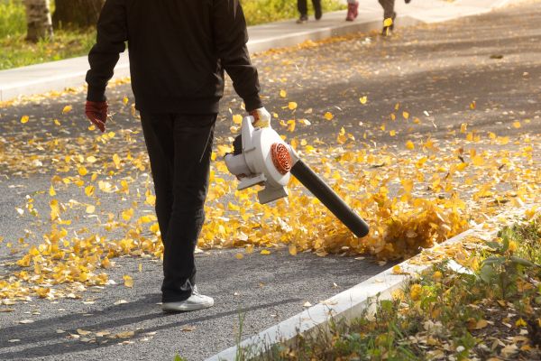 Commercial Leaf Removal in Fargo